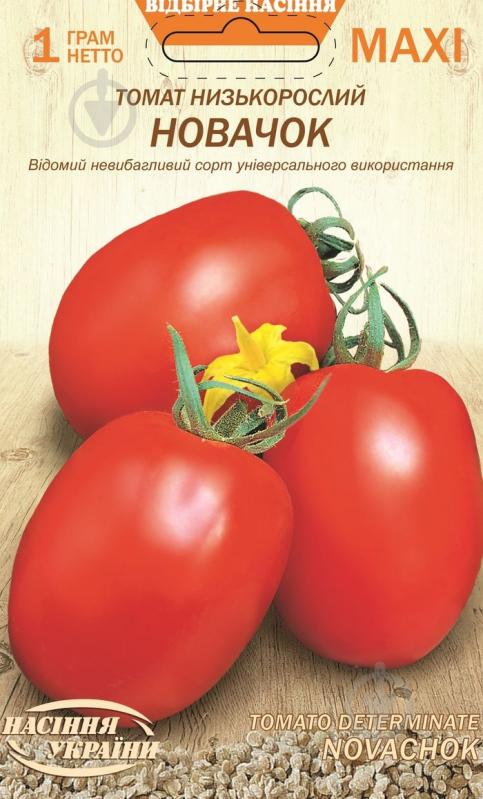 Насіння Насіння України томат низькорослий НОВАЧОК 1 г (4823099813599) - фото 1