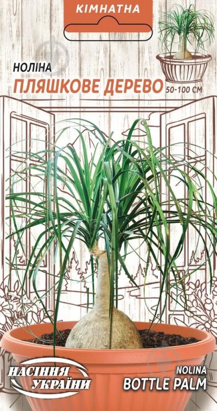 Семена Бутылочное дерево - фото 1 Семена Бутылочное дерево - фото 1