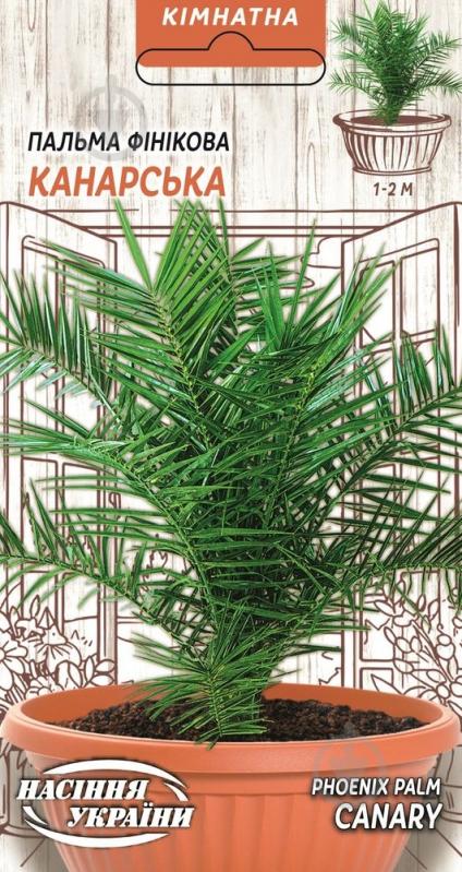 Семена Финиковая Канарская Насіння України - фото 1