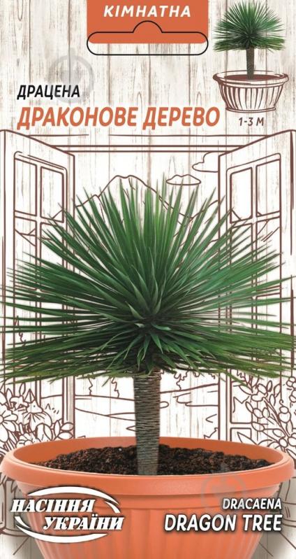 Семена Драконовоє дерево - фото 1