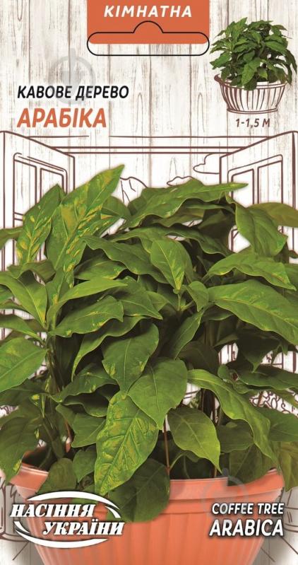 Семена Арабика - фото 1