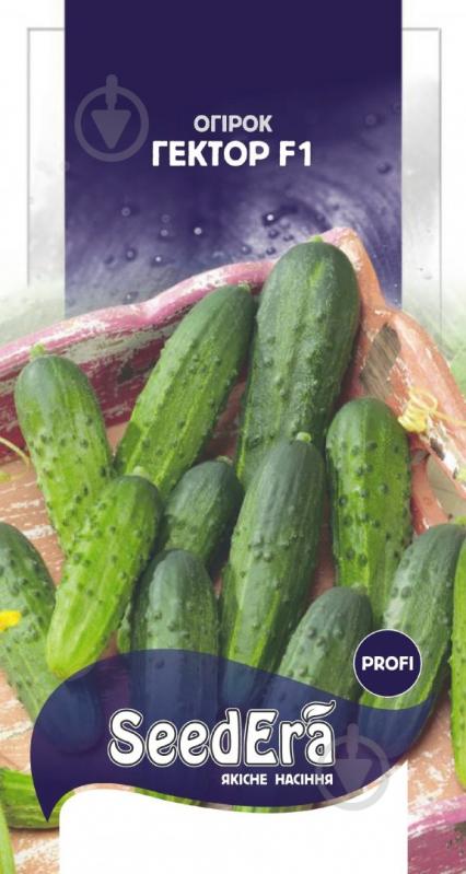 Семена SeedEra огурец Гектор F1 20 шт. (4823073726648) - фото 2