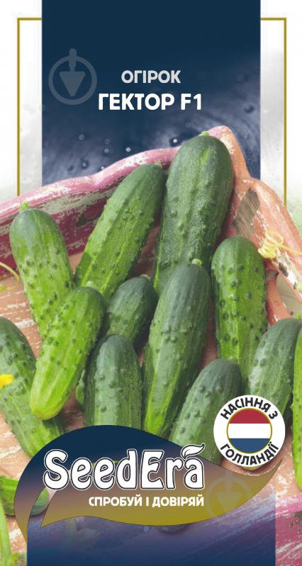 Семена SeedEra огурец Гектор F1 20 шт. (4823073726648) - фото 1