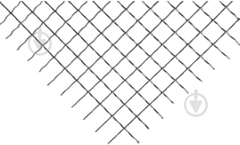 Сетка канилированная 25x25x3 мм оцинкованая (2x1 м) - фото 1