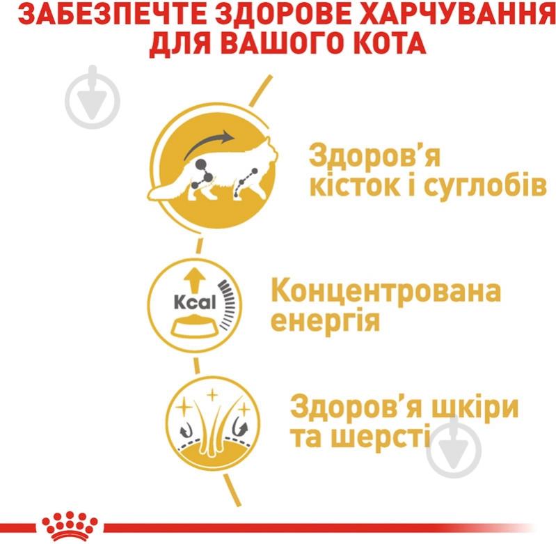 Корм влажный для взрослыш кошек породы мейн-кун Royal Canin Maine Coon Adult в соусе мясное ассорти, рыба, злаки 85 г - фото 5