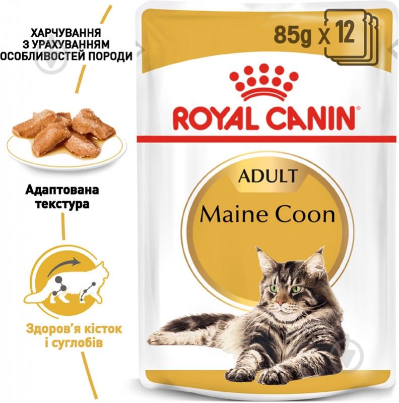 Корм влажный для взрослыш кошек породы мейн-кун Royal Canin Maine Coon Adult в соусе мясное ассорти, рыба, злаки 85 г - фото 2