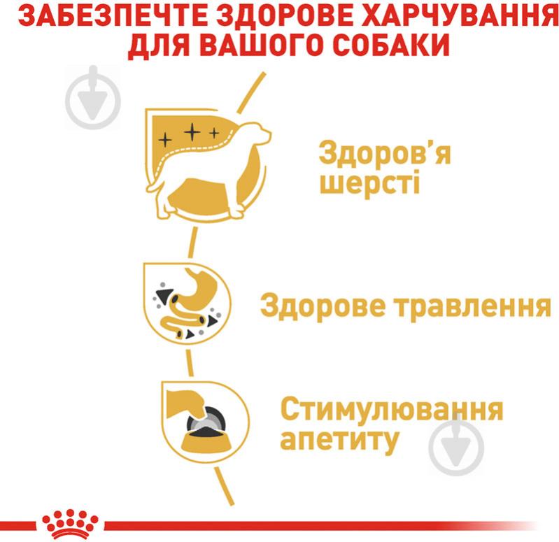 Корм влажный для взрослых собак для малых пород Royal Canin CHIHUAHUA ADULT (Чихуахуа Эдалт), пауч, 85 г 85 г - фото 5