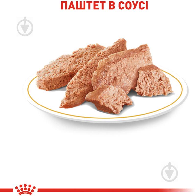 Корм вологий для дорослих собак для малих порід Royal Canin CHIHUAHUA ADULT (Чихуахуа Едалт), пауч, 85 г 85 г - фото 4