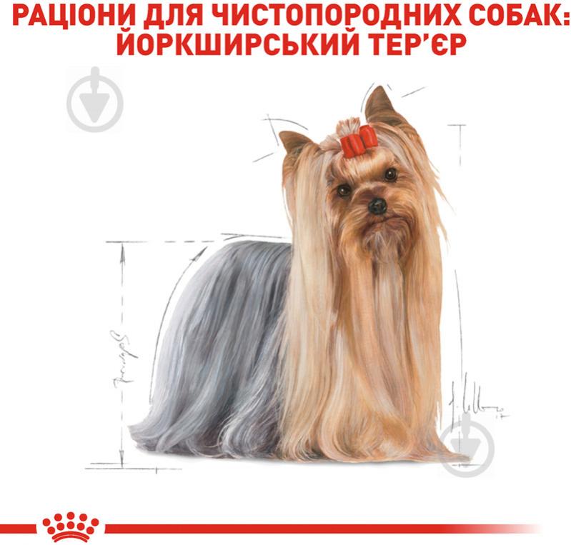 Корм вологий для дорослих собак для малих порід Royal Canin YORKSHIRE TERRIER ADULT (Йоркшир Тер'єр Едал - фото 3