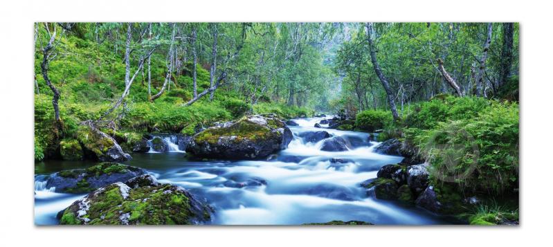 Картина Гірський струмок 57x150 см YS-Art - фото 1