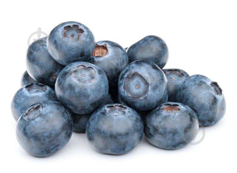 Саджанець Лохина - фото 2 Саджанець Лохина - фото 2