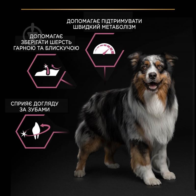 Корм сухой ProPlan by Purina Medium Adult 1+ Sensitive Skin для взрослых собак с чувствительной кожей с лососем 14 кг - фото 6