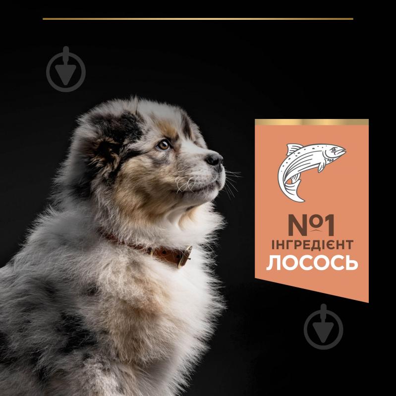 Корм сухой ProPlan by Purina Medium Puppy <1 Sensitive Skin для щенков с чувствительной кожей с лососем 12 кг - фото 8