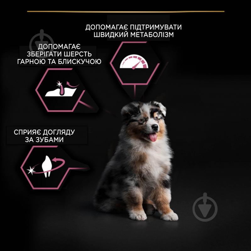 Корм сухой ProPlan by Purina Medium Puppy <1 Sensitive Skin для щенков с чувствительной кожей с лососем 12 кг - фото 9