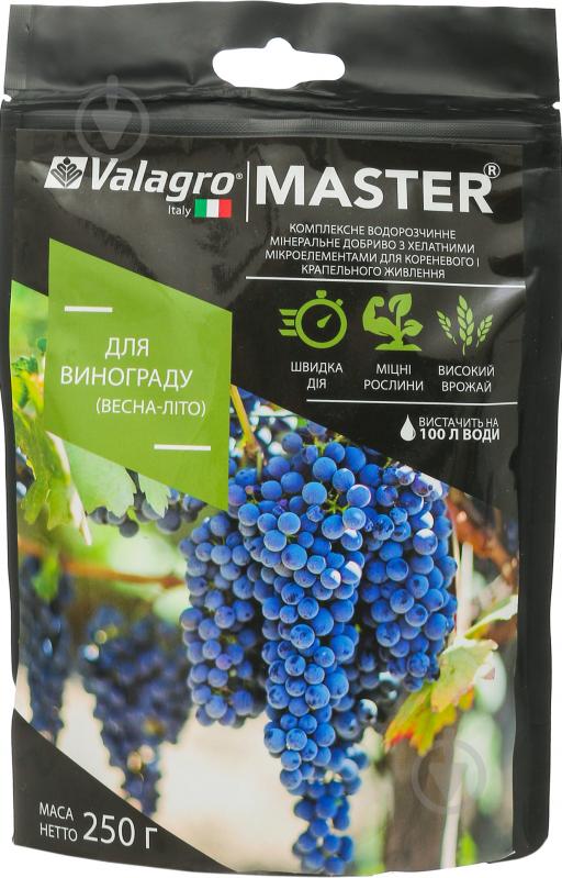 Добриво мінеральне Valagro Master для винограду весна-літо 250 г - фото 1