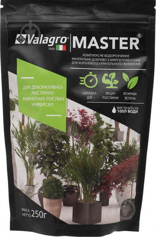 Добриво мінеральне Valagro Master для декоративно-листяних 250 г - фото 1