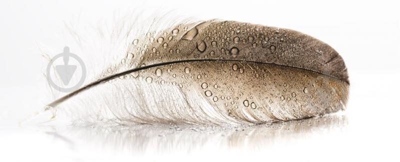 Репродукция Wing 140x45 см Styler - фото 1