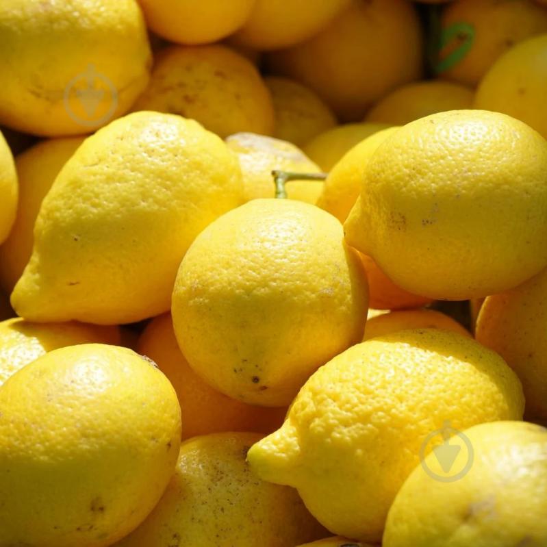 Мыло жидкое Le Petit Olivier Вербена 300 мл - фото 5