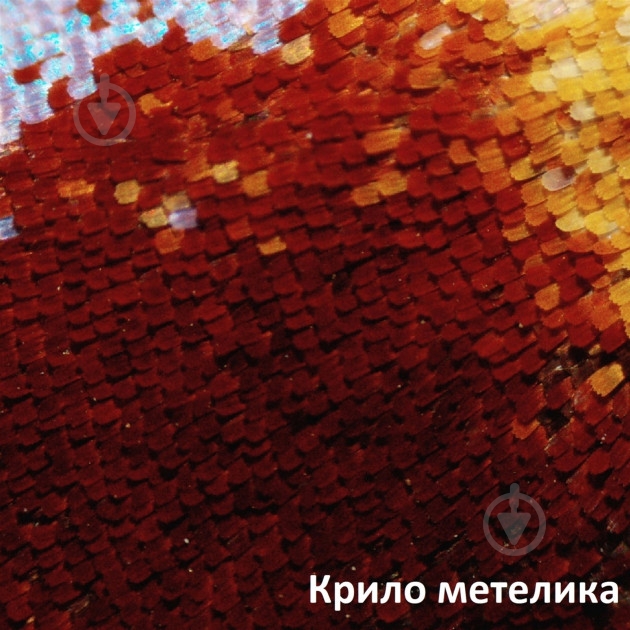 Микроскоп Bresser LCD Touch 50x-2000x 5201020 - фото 6