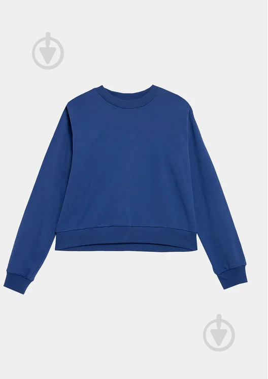 Свитшот Outhorn SWEATSHIRT F668 OTHAW23TSWSF668-36S р.M синий - фото 1