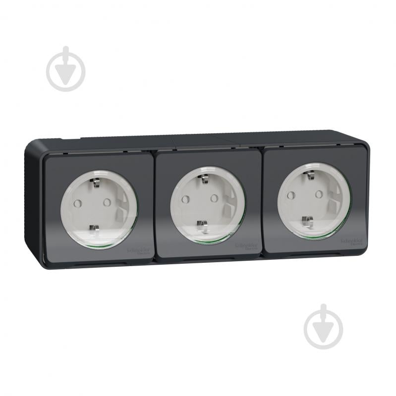 Розетка із заземленням Schneider Electric Mureva Styl IP55 чорний MUR36038 - фото 1