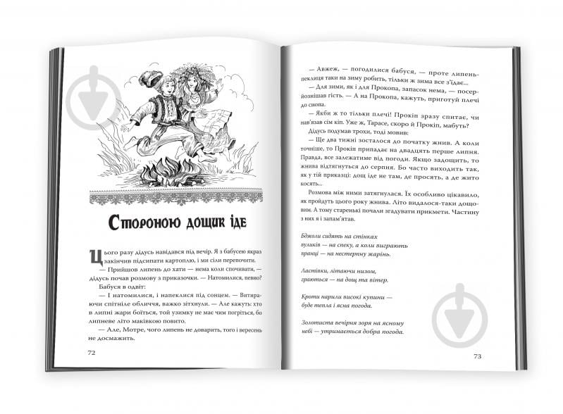 Книга Василий Скуратовский «Погостини» 978-617-7409-35-8 - фото 4