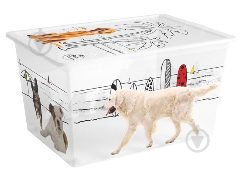 Ящик для зберігання Curver 241602 різнокольоровий Pets Collectoin XL 50 л різнокольоровий 310x550x390 мм - фото 1 Ящик для зберігання Curver 241602 різнокольоровий Pets Collectoin XL 50 л різнокольоровий 310x550x390 мм - фото 1