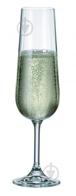 Набір бокалів для шампанського Maison Forine Anna 280 мл 4 шт. - фото 3 Набір бокалів для шампанського Maison Forine Anna 280 мл 4 шт. - фото 3