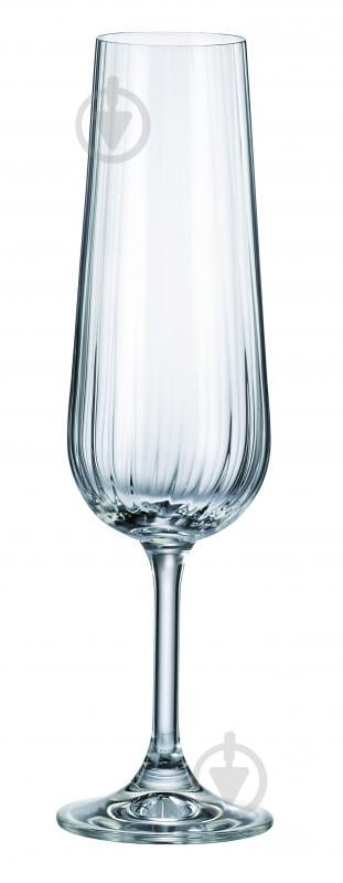 Набір бокалів для шампанського Maison Forine Anna 280 мл 4 шт. - фото 1 Набір бокалів для шампанського Maison Forine Anna 280 мл 4 шт. - фото 1