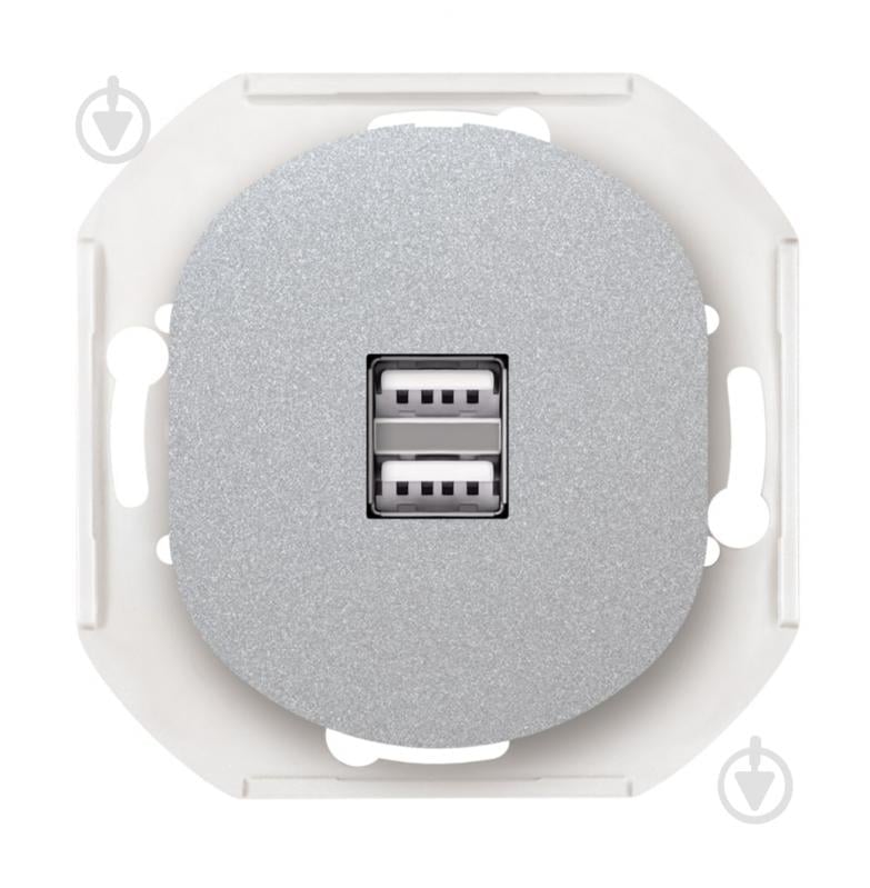 ᐉ Механизм USB двойная с заземлением Aling-Conel Eon IP20 белый E6161.0 ...