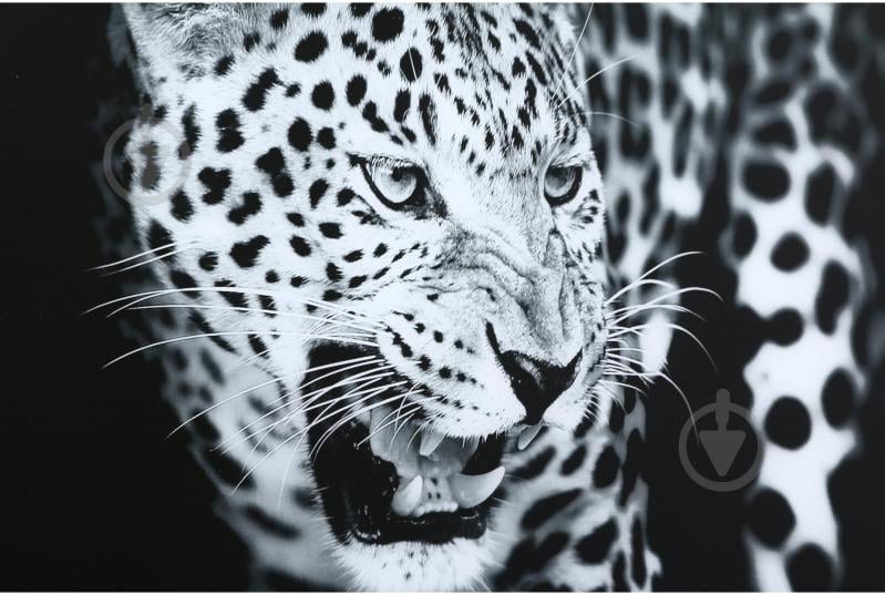 Картина Leopard стеклянная 70x100 см Styler GL-00216 - фото 3