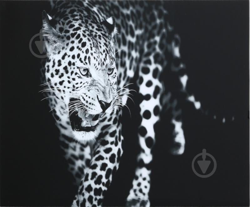 Картина Leopard стеклянная 70x100 см Styler GL-00216 - фото 1