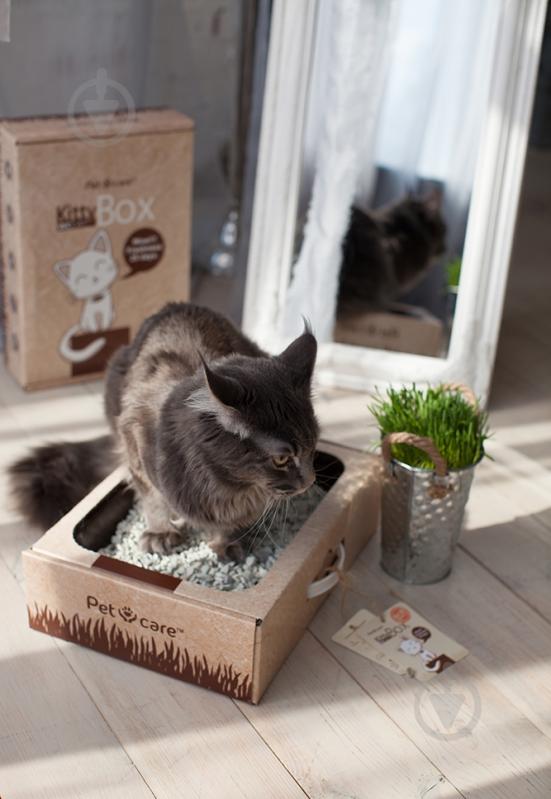 Туалет Pet Care KittyBox 41х28х11 см 25 дней - фото 3
