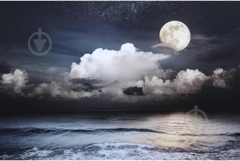 Картина Moon beach 50x50 см Styler OB-14251 - фото 2
