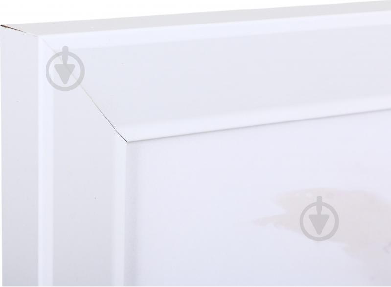 Картина Pampas 50x70 см Styler OB-14545 - фото 4 Картина Pampas 50x70 см Styler OB-14545 - фото 4