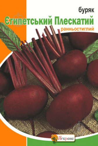 Насіння Яскрава буряк Єгипетський плескатий 20 г - фото 1