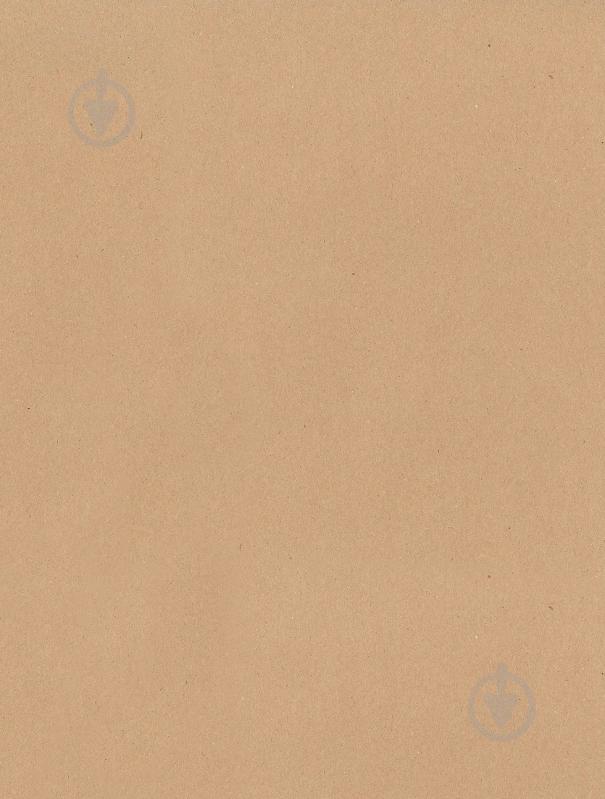 Бумага для упаковки STEWO Recycled paper light brown 70x200 см - фото 1