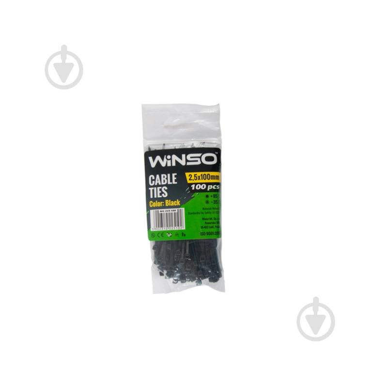 Хомут пластиковый WINSO 2,5x100 100 шт. 225100 - фото 1