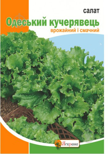 Насіння Яскрава салат листовий Одеський кучерявець 10 г - фото 1