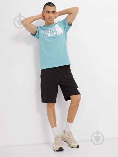 Шорти THE NORTH FACE M SUMMER LOGO SHORT NF0A8237JK31 р. S чорний - фото 1