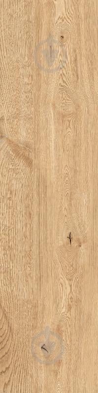 Плитка Allore Group Armario Honey F PR R Mat 30x120 см - фото 12