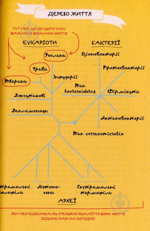 Книга Найт Р. «Прислухайтесь до свого організму вплив крихітних мікробів» 978-966-942-456-3 - фото 8