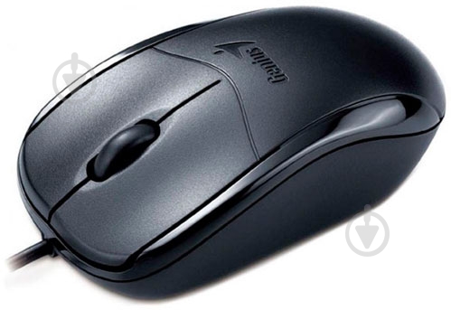 Мышь Genius NetScroll 110X USB (31010585105) black - фото 1