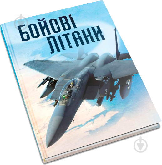 Книга Генри Брук «Бойові літаки» 978-966-948-174-0 - фото 3