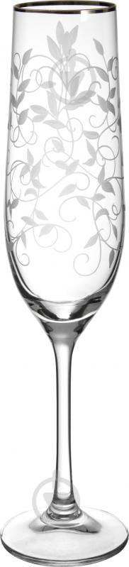 Набір бокалів для шампанського Bohemia Lido платина 190 мл 6 шт. - фото 1 Набір бокалів для шампанського Bohemia Lido платина 190 мл 6 шт. - фото 1