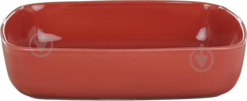 Форма для запекания Pyrex Curves 20x28 см CU28RR5 - фото 2 Форма для запекания Pyrex Curves 20x28 см CU28RR5 - фото 2