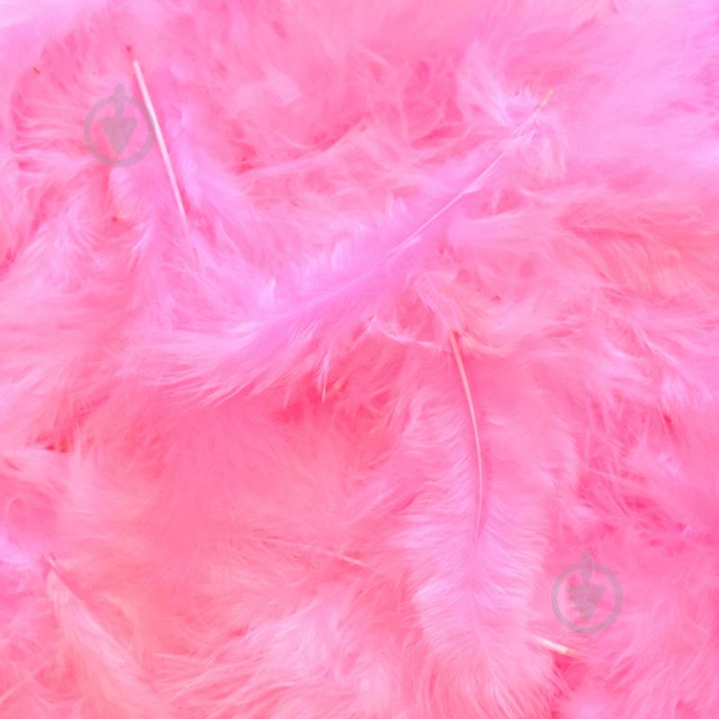 Наполнитель Перья 15962 - фото 1