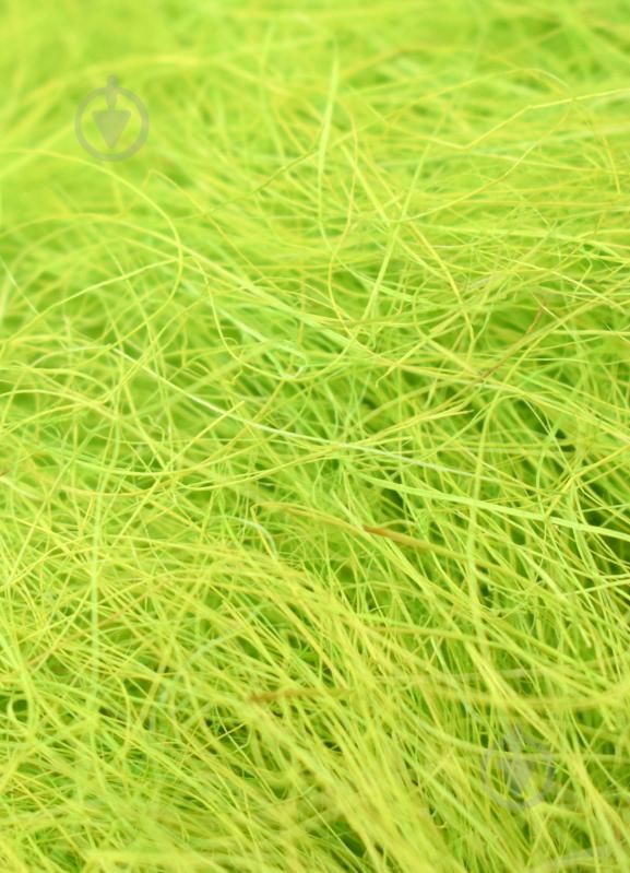 Наполнитель Сизаль салатовая 183401 - фото 1