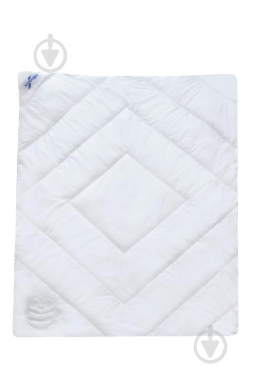 Одеяло Хермина 200x220 см Billerbeck - фото 1 Одеяло Хермина 200x220 см Billerbeck - фото 1