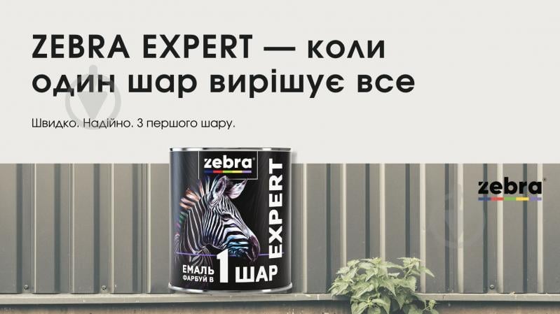 Емаль ZEBRA EXPERT 1 шар білий матовий мат 0,7 л - фото 11